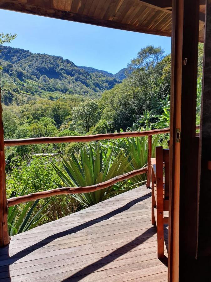 El Toucanet Lodge Copey Exteriér fotografie