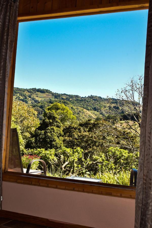 El Toucanet Lodge Copey Exteriér fotografie