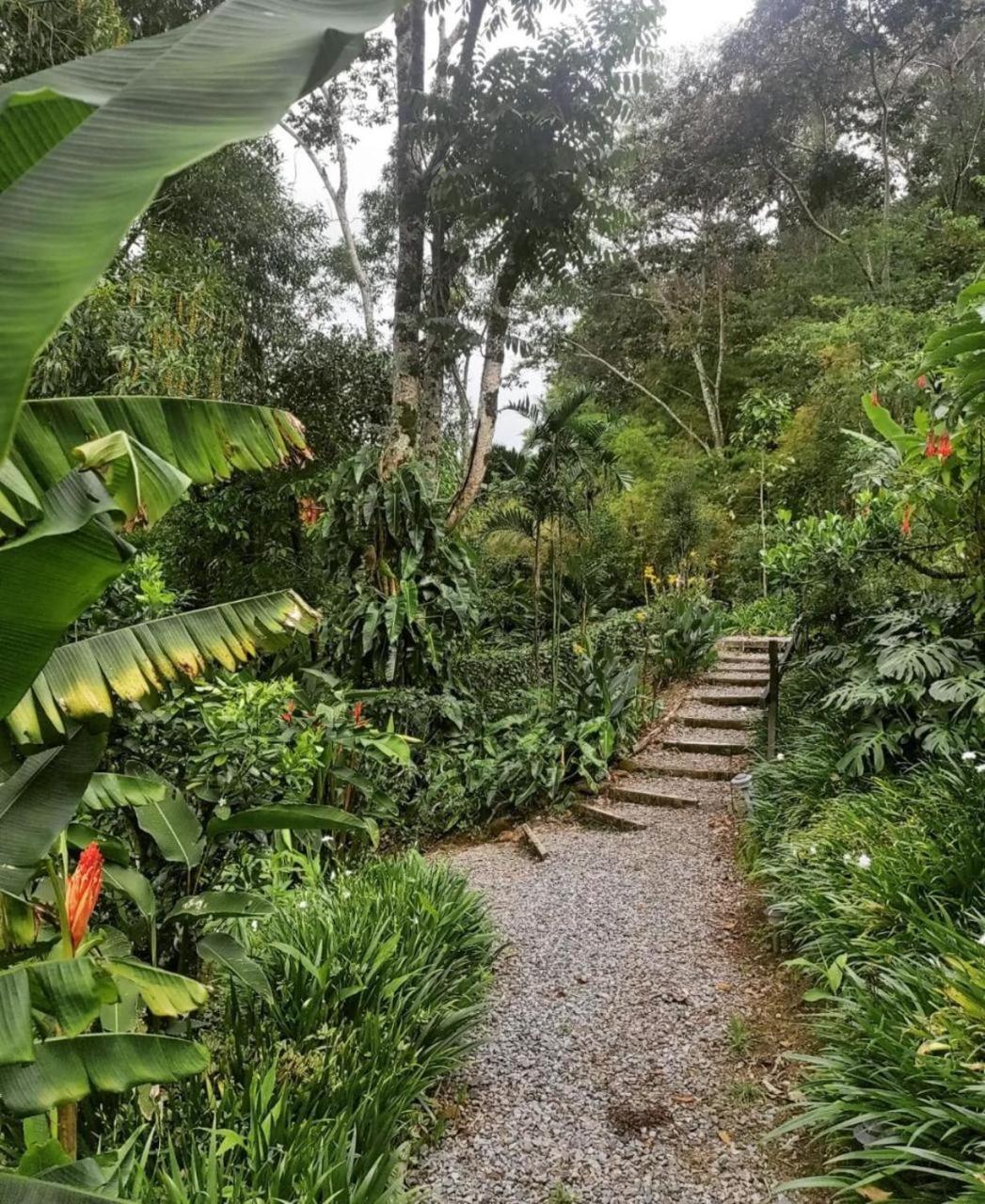 El Toucanet Lodge Copey Exteriér fotografie