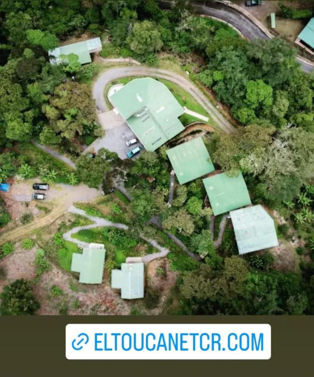 El Toucanet Lodge Copey Exteriér fotografie