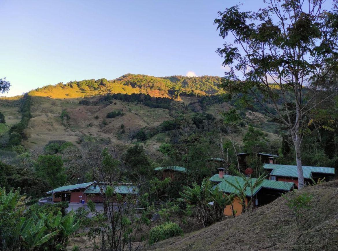 El Toucanet Lodge Copey Exteriér fotografie