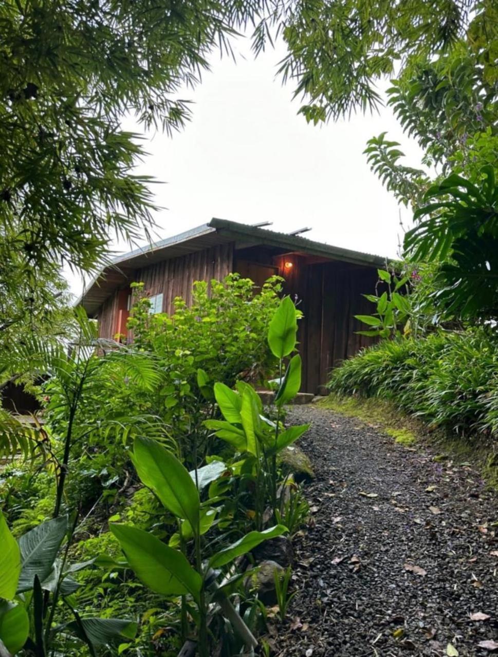 El Toucanet Lodge Copey Exteriér fotografie