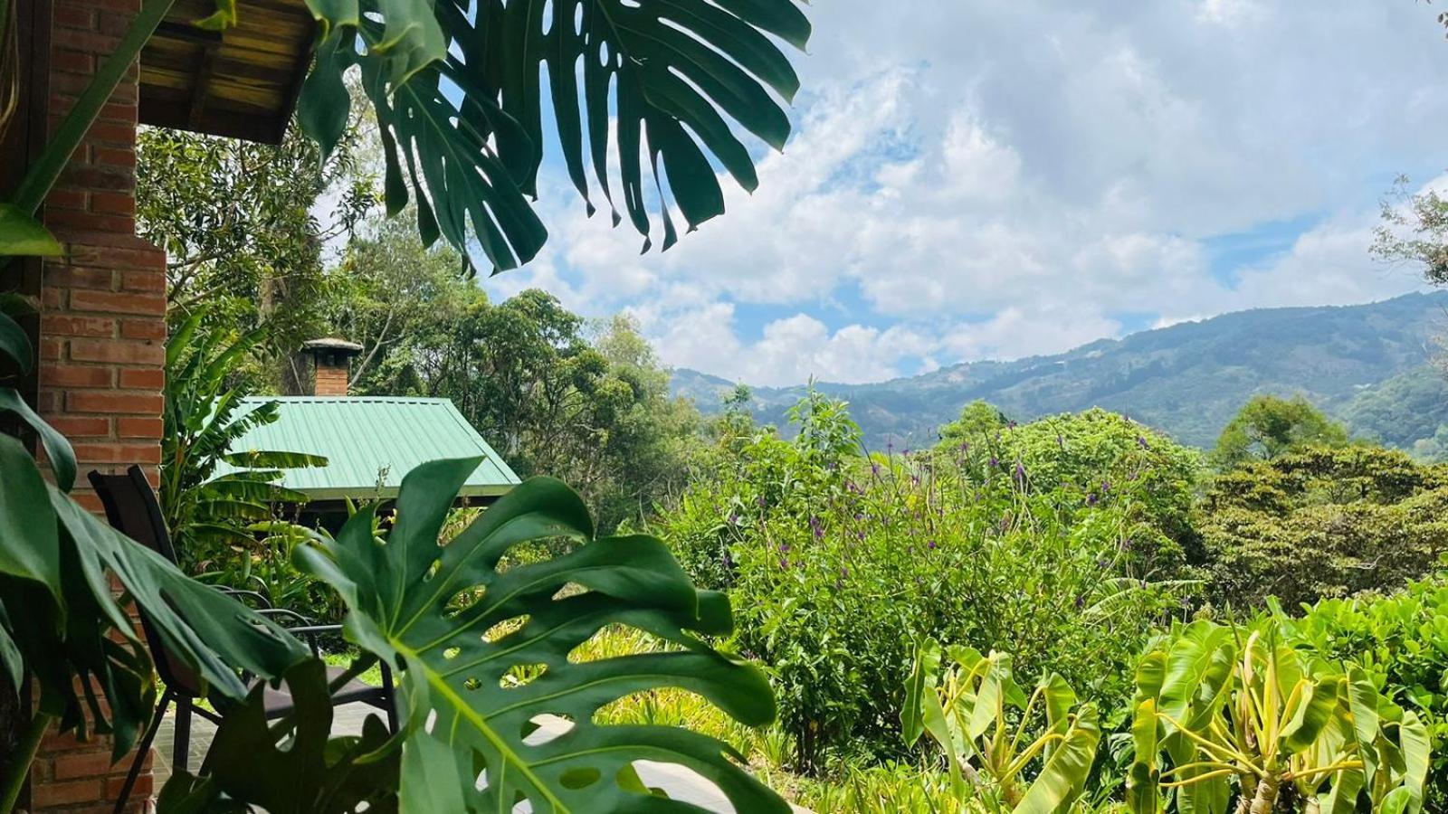 El Toucanet Lodge Copey Exteriér fotografie